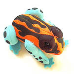 Poison Frog